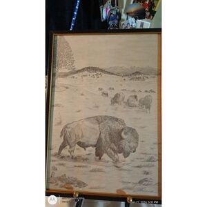 Sketch by JS Pear of Buffalo roaming